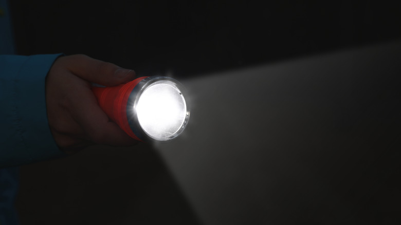 A man holding a bright flashlight in the darkness.