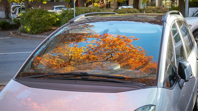 Autumn leaves reflected in the windshield of a gray car on a suburban street