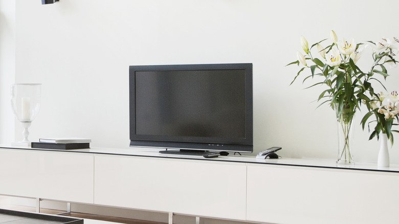 television beside flower vase