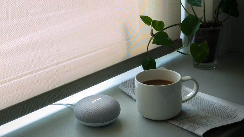 google nest speaker near window