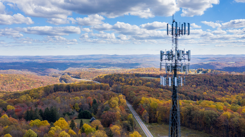 cell tower over a park