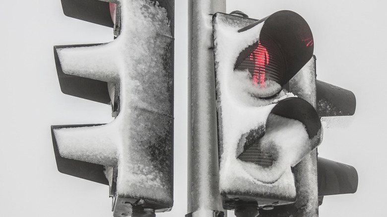 Close up of traffic lights covered in snow