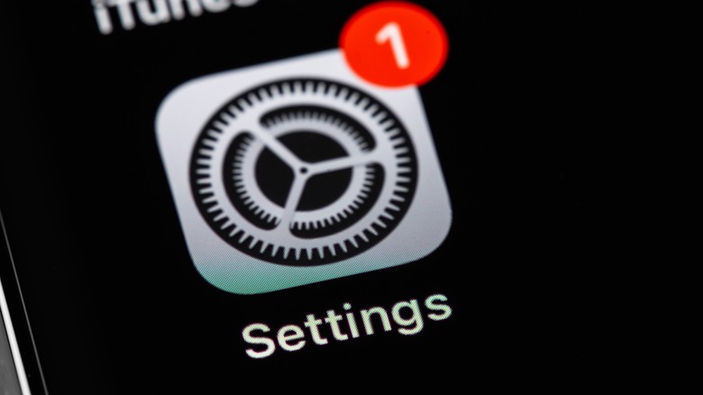 iPhone settings app