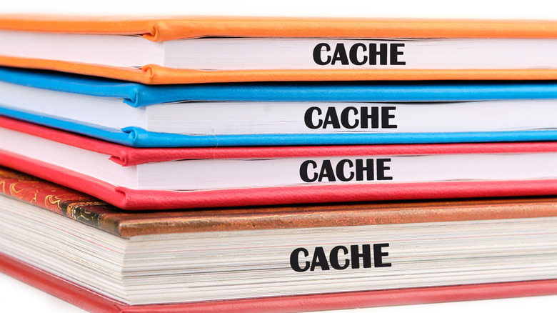 Books with orange, blue, red and paisley covers, all  labled "cache."