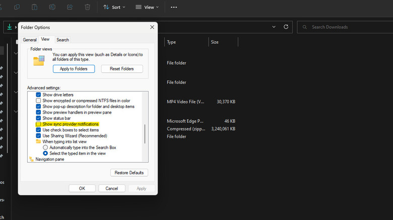 The Folder Options panel in Windows Explorer
