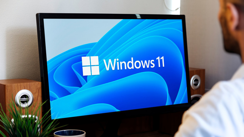 Person using a computer with the Windows 11 logo