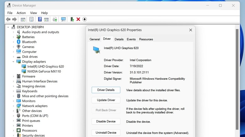 Display drivers in Windows Device Manager