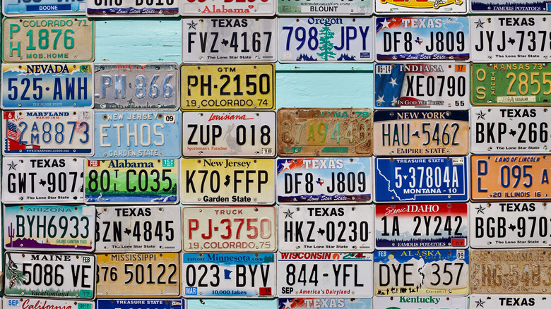 A wall of random license plates from different U.S. states