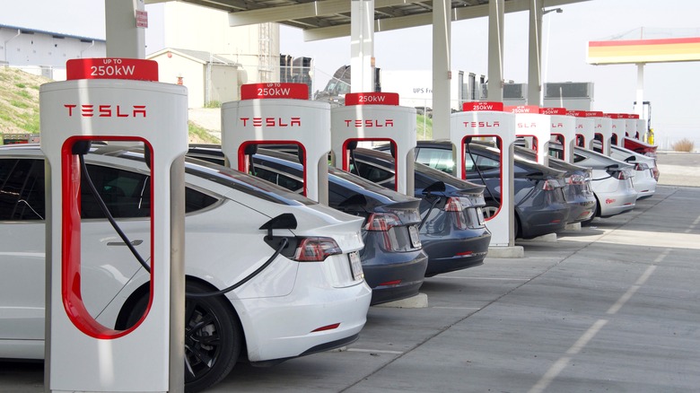 Tesla cars at a supercharger station 