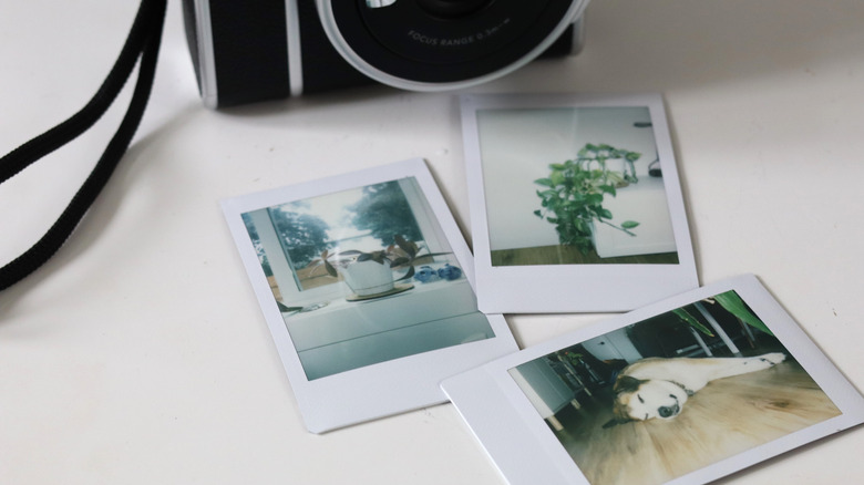 A Polaroid camera and some photos on display.