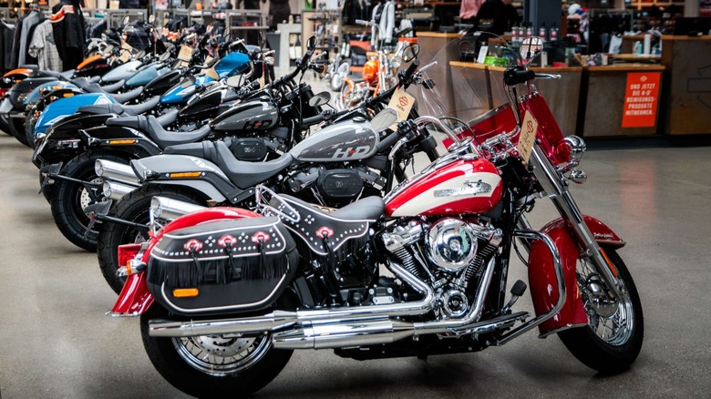 Different Harley-Davidson models in a showroom