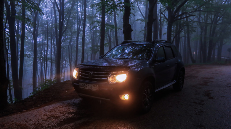 A vehicle is parked along a winding road surrounded by dense trees with the headlights on