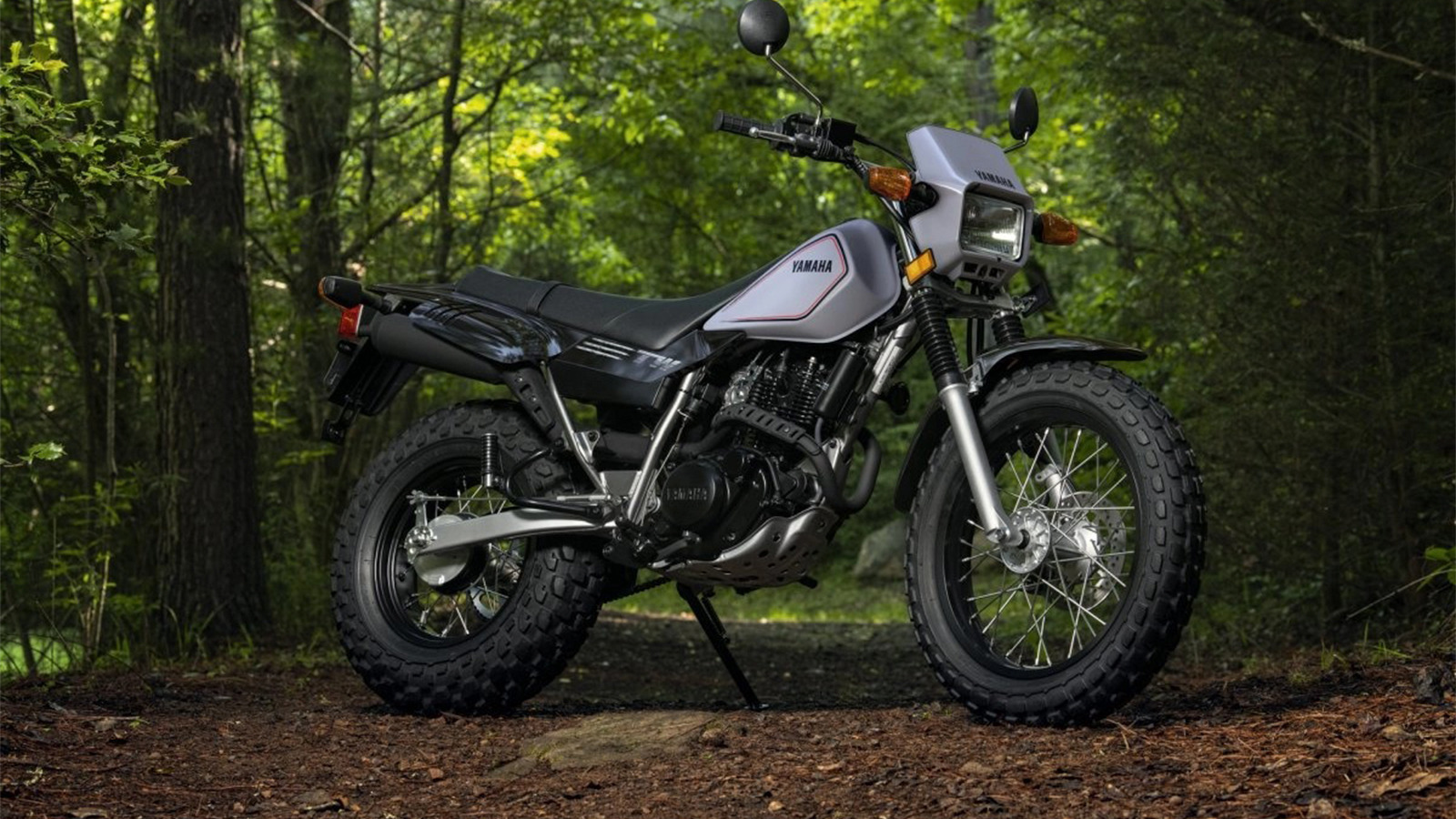 Yamaha XT250 Vs. TW200: What's The Difference Between These Dual