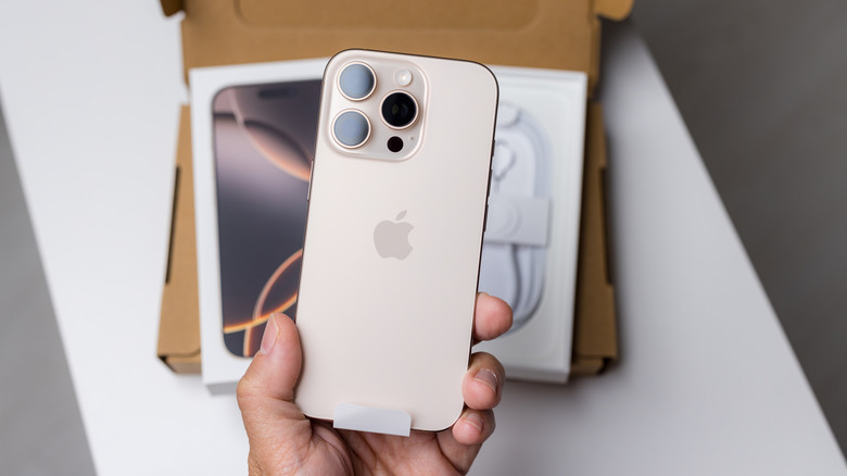 A hand holding an iPhone Pro Max with box in the background