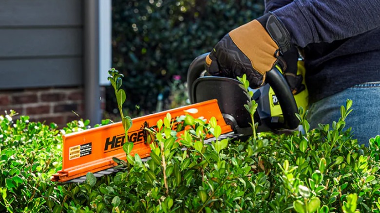 A person using a Ryobi hedge trimmer.