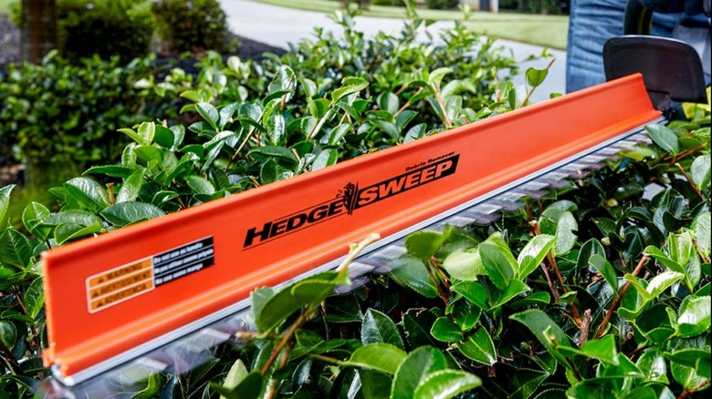 A person using a Ryobi hedge trimmer.