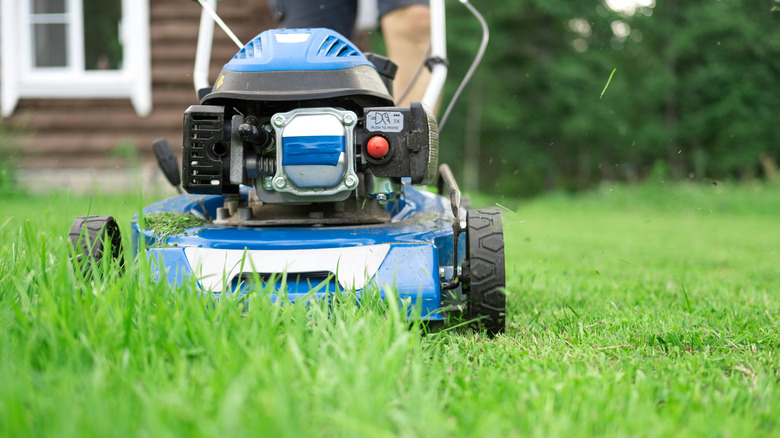 A Person Operating A Walk Behind Push Mower To Cut Grass