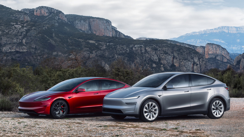 Tesla Model 3 and Model Y cars in mountainous terrain