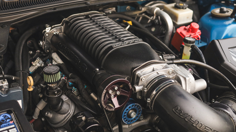 Black Whipple supercharger pictured in a clean engine bay