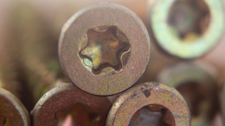 Stacked up torx bolts