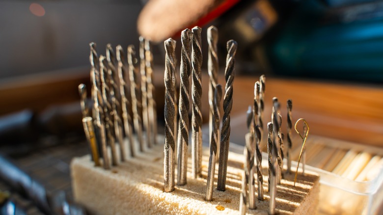 Different sized drill bits in a wood