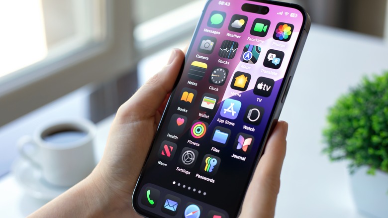 hands holding iPhone