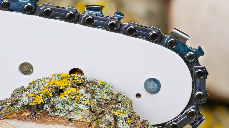 A chainsaw cutting through wood.