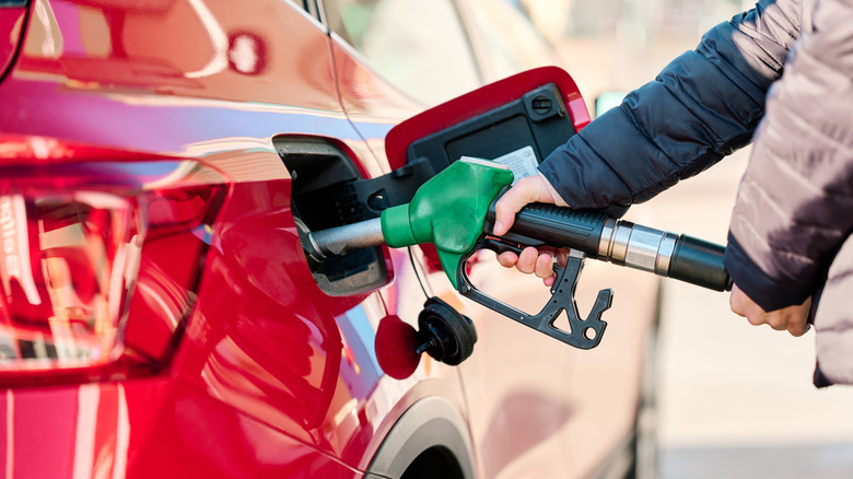 Person filling car with gas