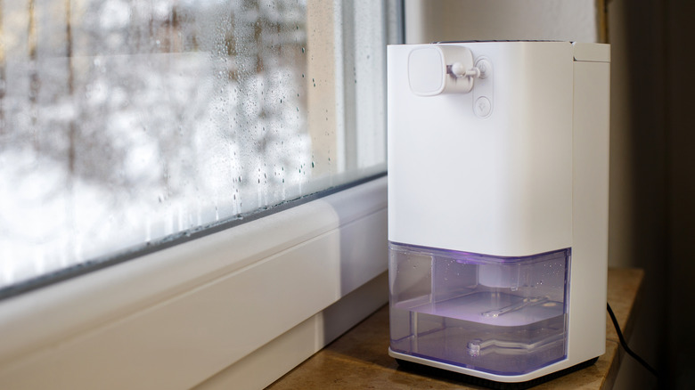 Small dehumidifier by a window with heavy condensation.
