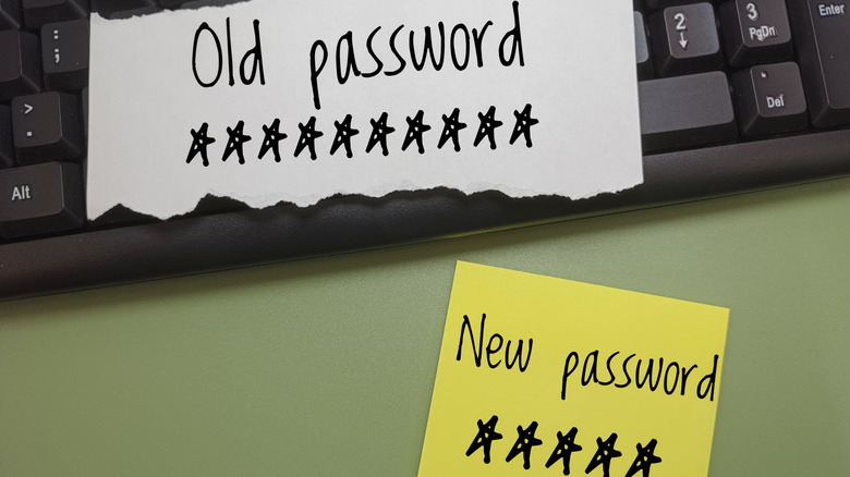 Pieces of paper displaying hidden passwords.