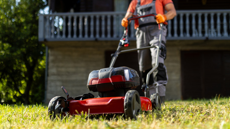 A person using a push lawn mower.