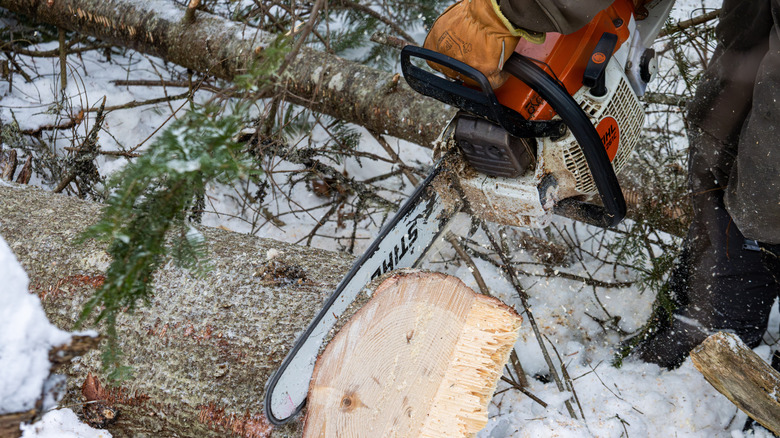 Person using a Stihl chainsaw to cut wood in the snow