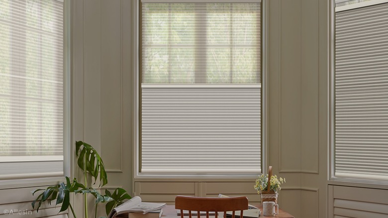 Shades on three windows in home