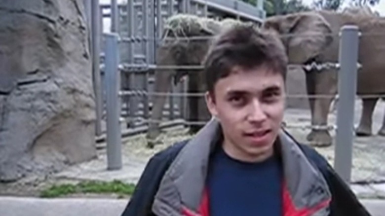 YouTube co-founder talks elephants