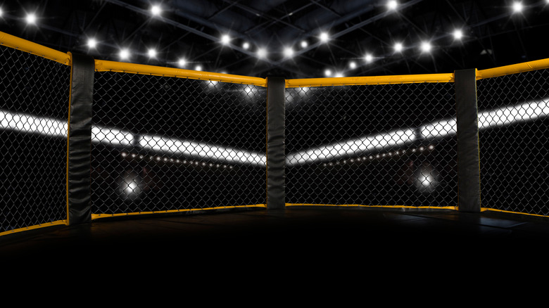 Octagon fight cage