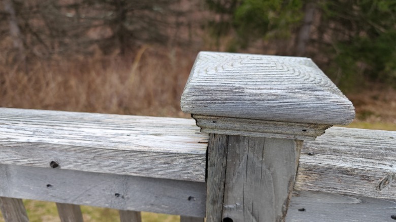 Xiaomi 13 Pro image of fence post