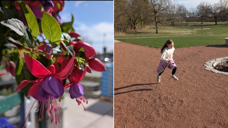close up of flowers and a child running