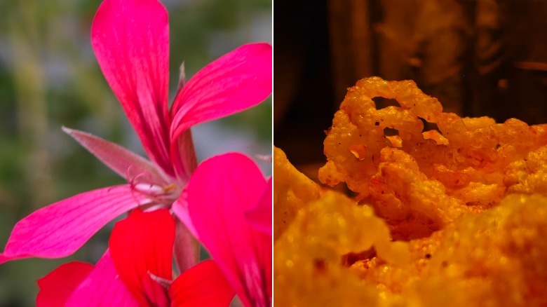 Two macro photos of a flower and food