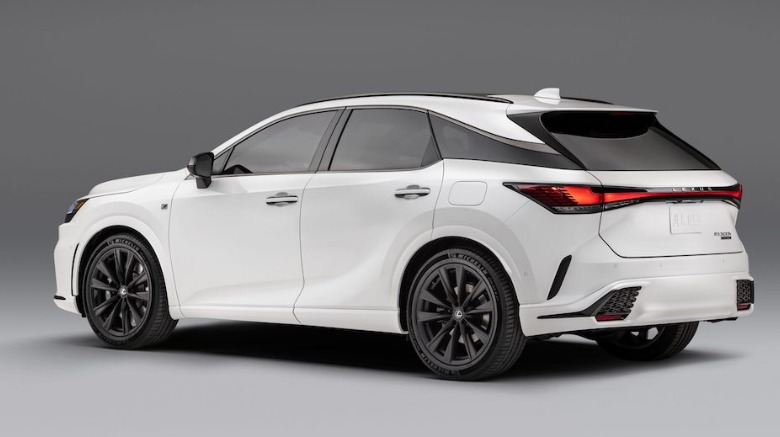 RX 500h FSPORT Performance