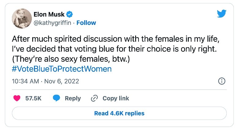 verified account impersonating Elon Musk