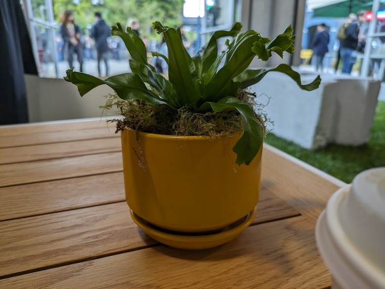 Exemplo de câmera Pixel 7a