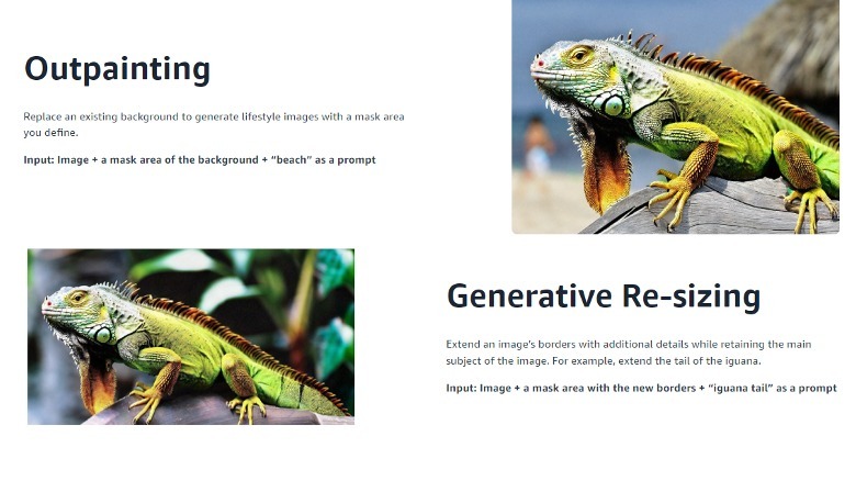 Amazon Titan image generator