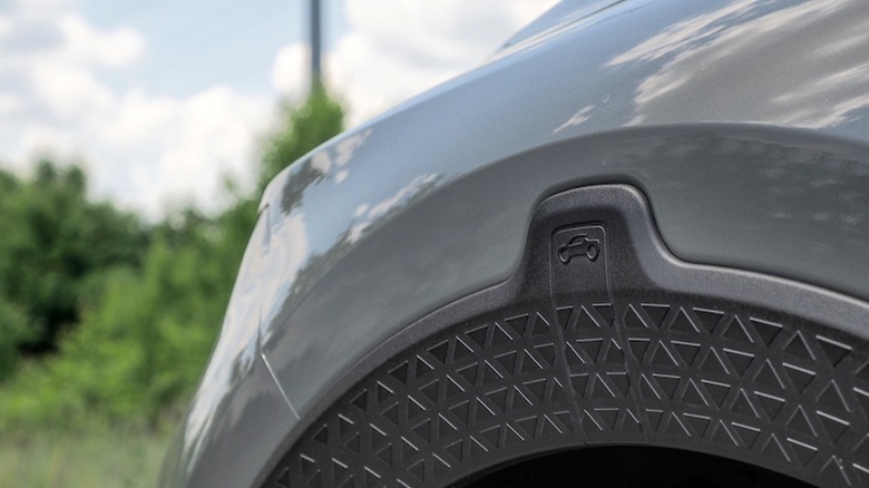 Santa Cruz easter egg