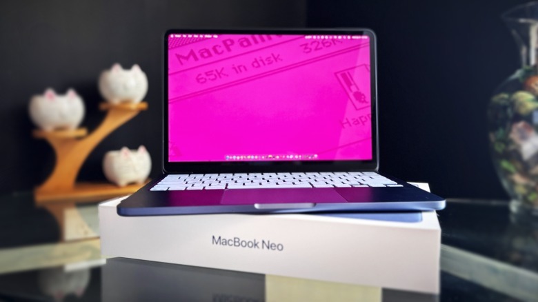MacBook Neo dengan wallpaper Apple berwarna pink cerah