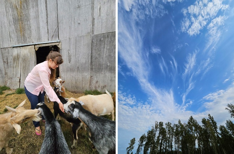 mulher com cabras e céu aberto