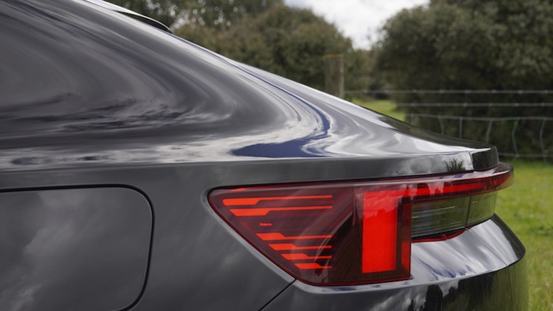 rear lamp clusters