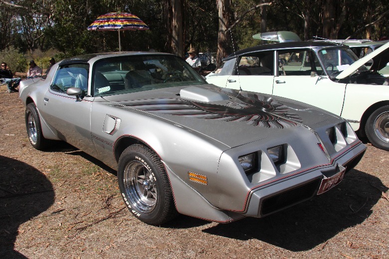 Silver 1979 Pontiac Firebird Trans Am parked on dirt