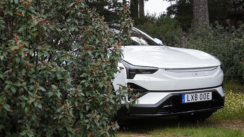 Peekaboo Polestar 3