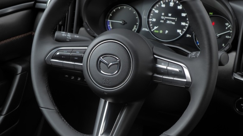 Steering wheel detail