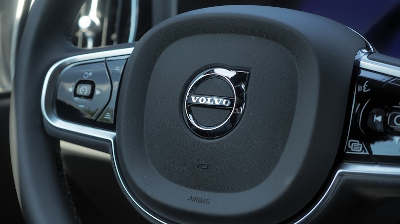 Steering wheel detail